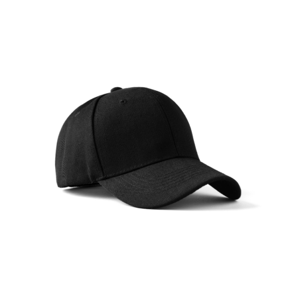 SL Dad Hat